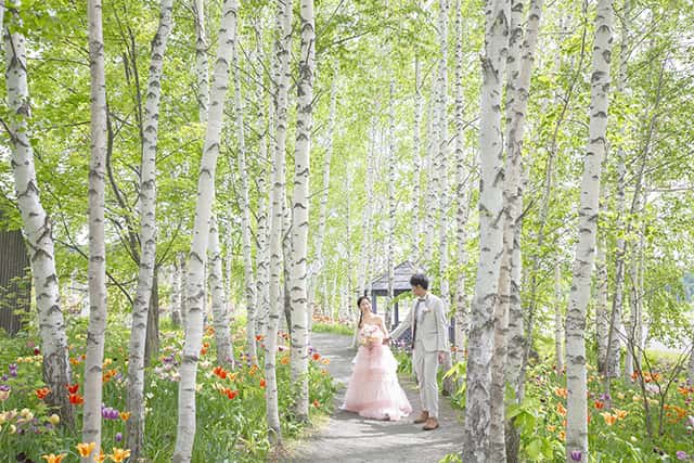 上野ファーム カラー(1)