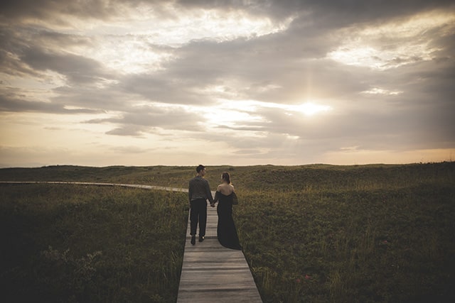 はまなすの丘(1)