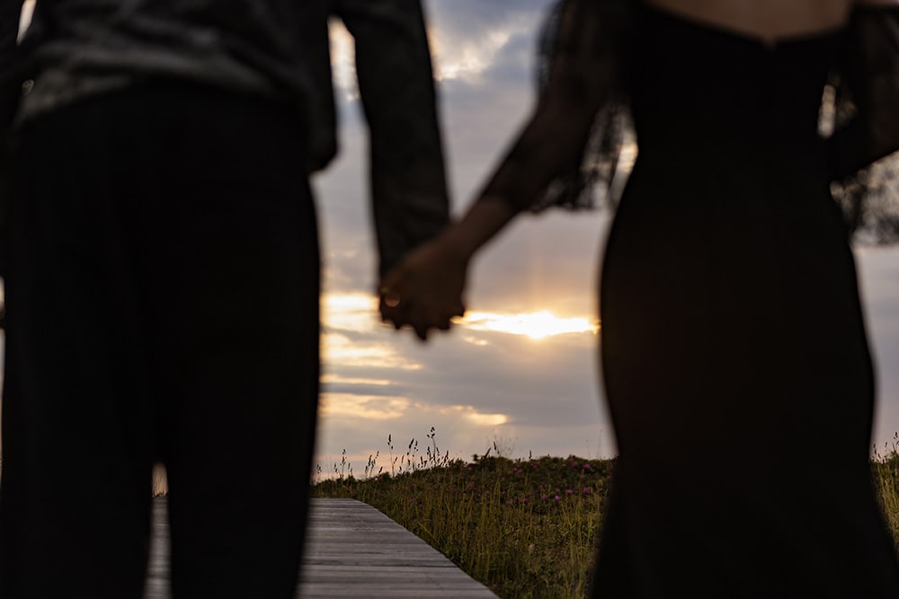 はまなすの丘(2)