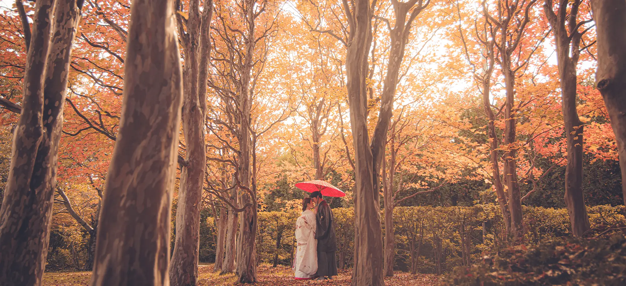 平岡樹芸センター(1)