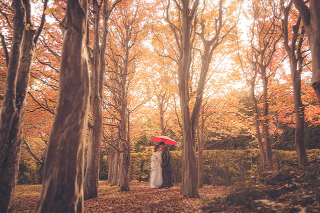 平岡樹芸センター(1)