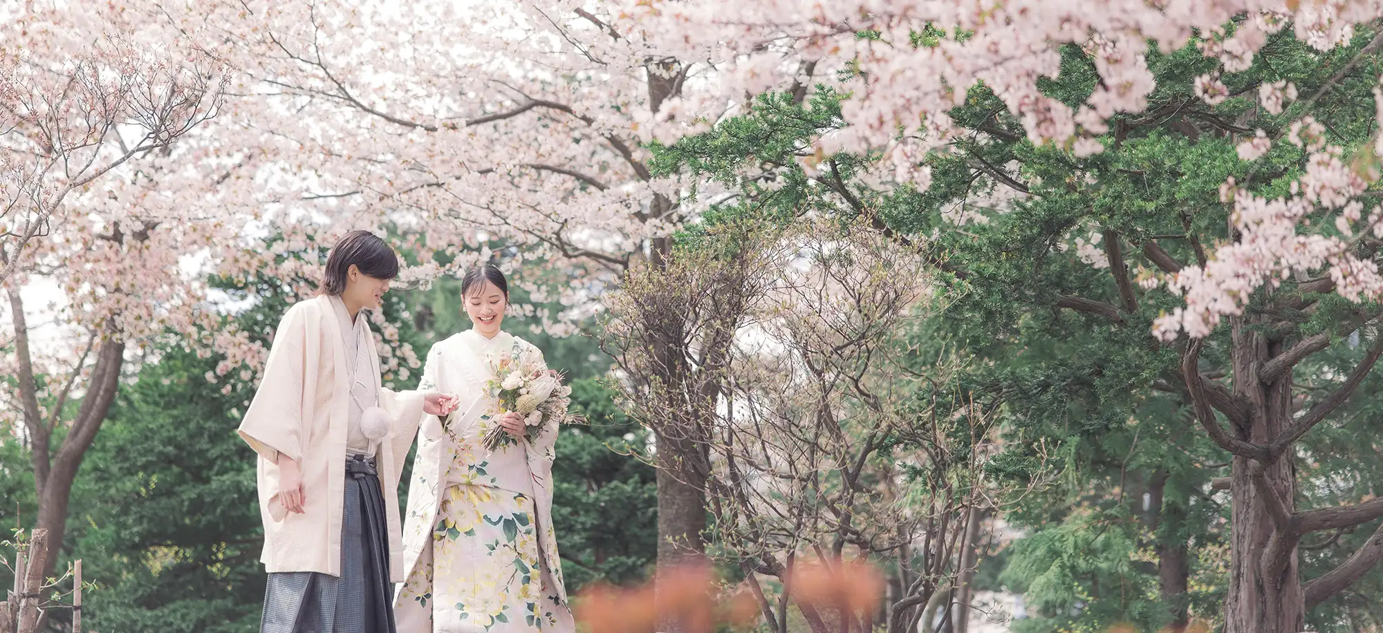 中島公園桜ロケ(1)