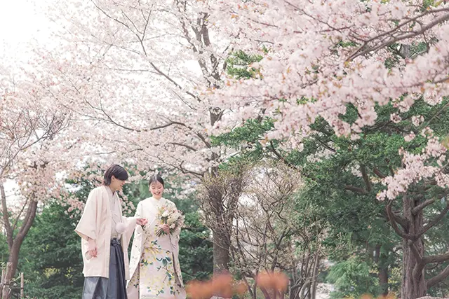 中島公園桜ロケ(1)