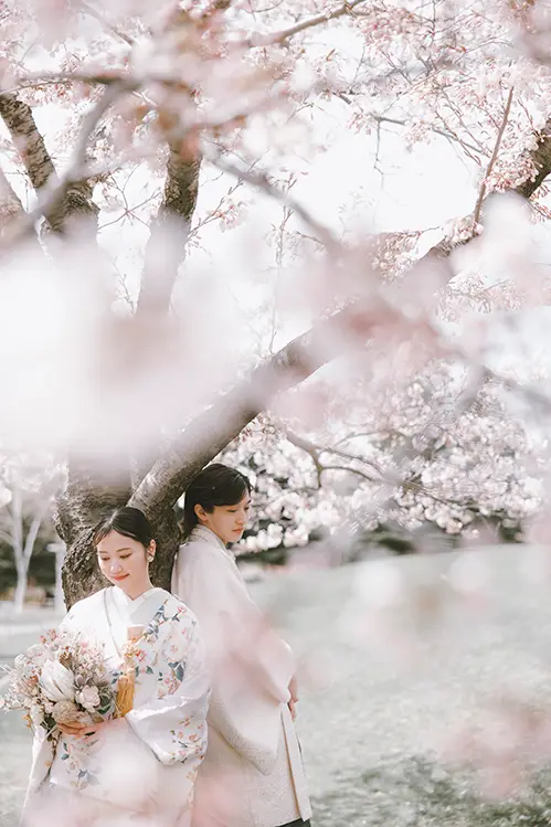 中島公園桜ロケ(4)