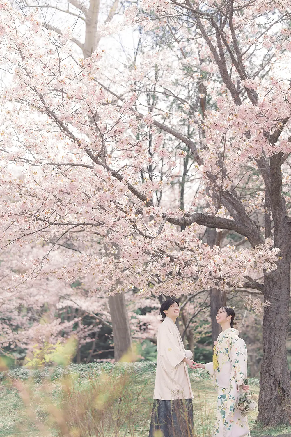 中島公園桜ロケ(5)