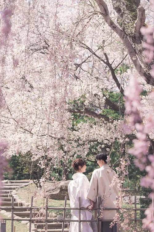 中島公園 桜(4)