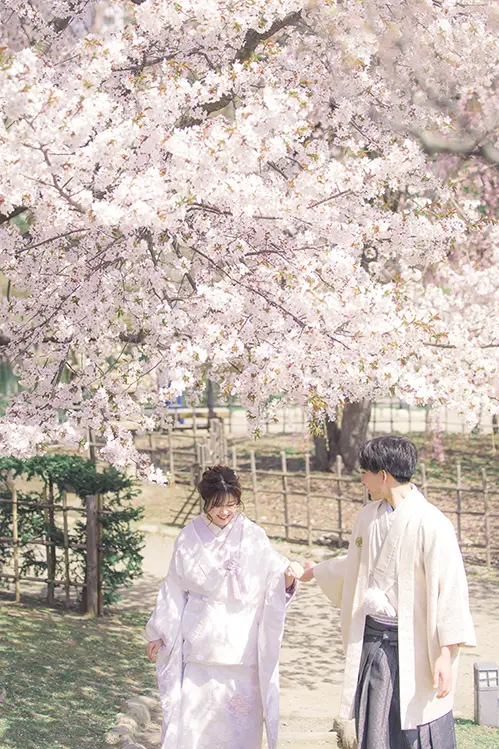 中島公園 桜(6)
