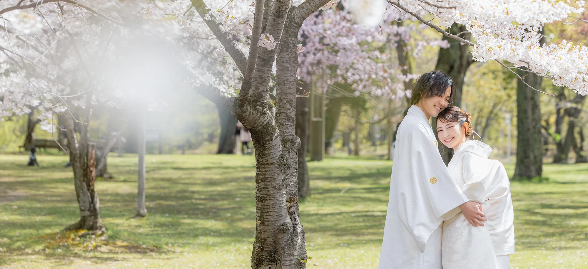 中島公園・桜(1)