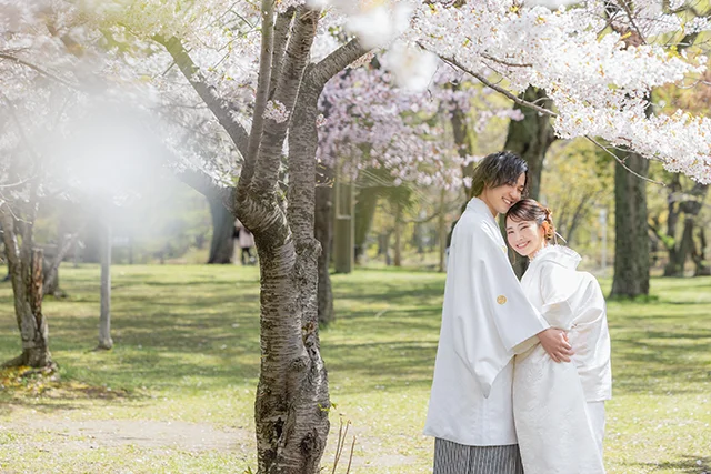 中島公園・桜(1)
