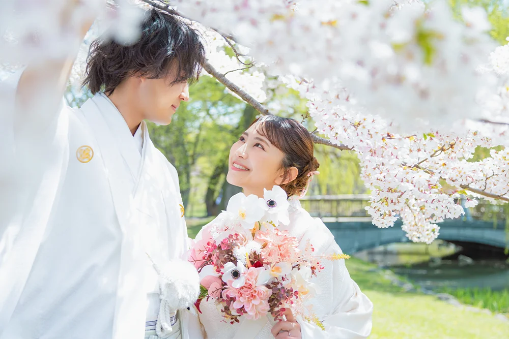 中島公園・桜(2)