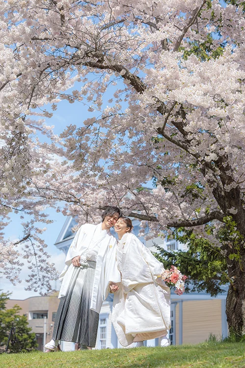 中島公園・桜(3)