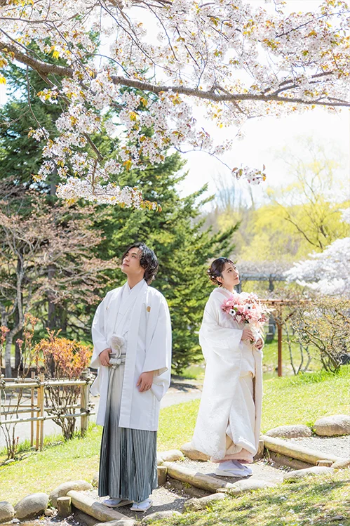 中島公園・桜(4)