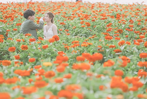 natural×happiness(3)