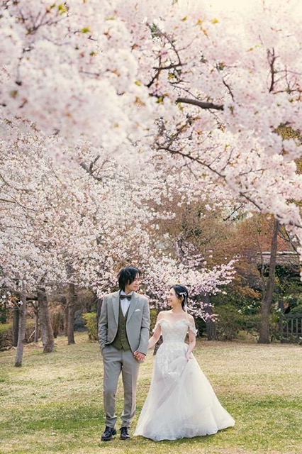 桜 × 天神山緑地(3)