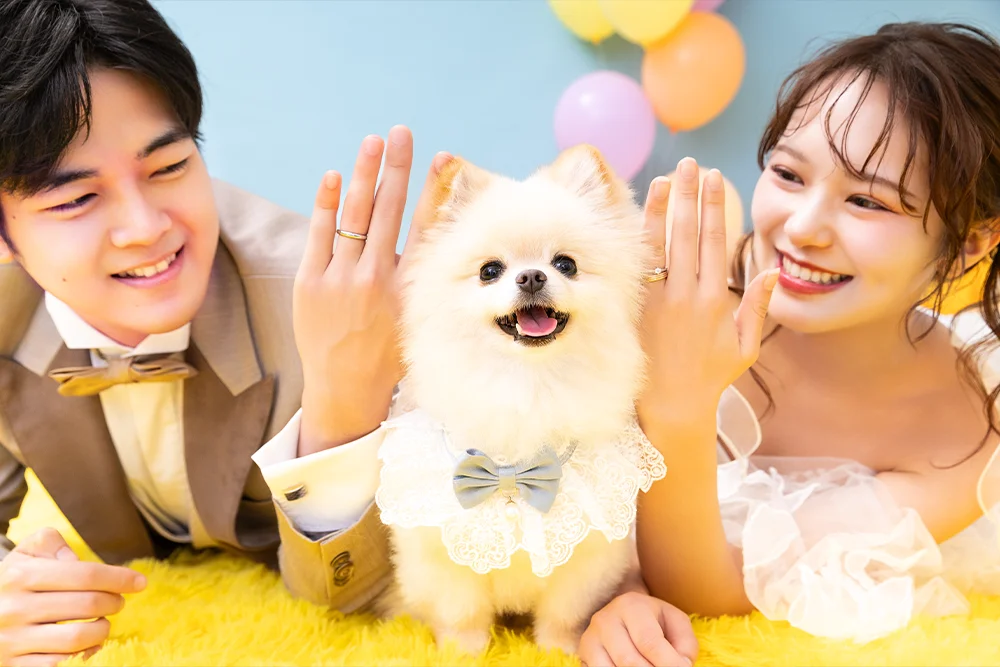 Our PAWfect Beginning(2)