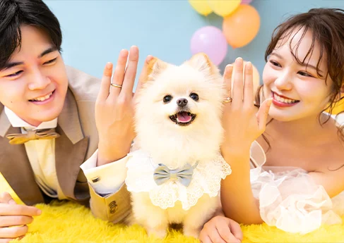 Our PAWfect Beginning
