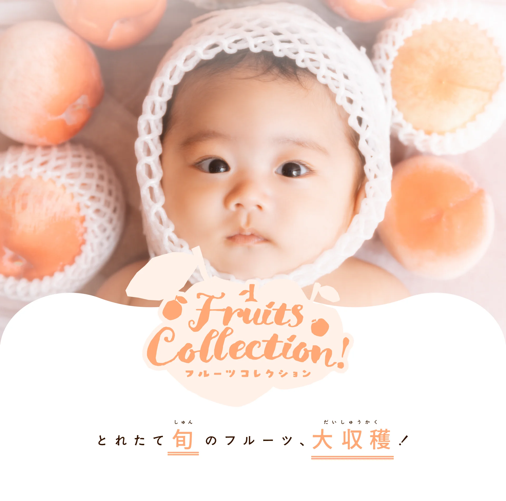 写真工房ぱれっと 百日記念写真フルーツコレクション「とれたて旬のフルーツ、大収穫！」