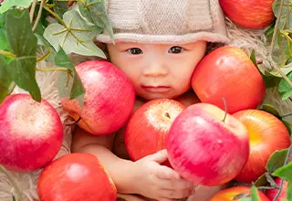 Basket of apples