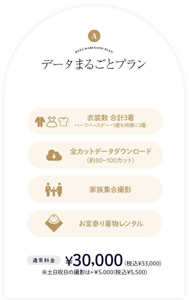 データまるごとプラン