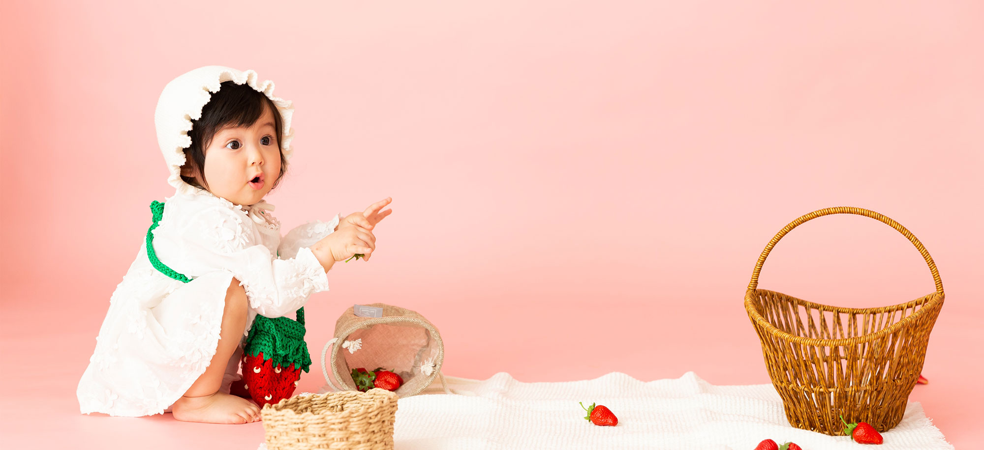 フルーツコレクション STRAWBERRY