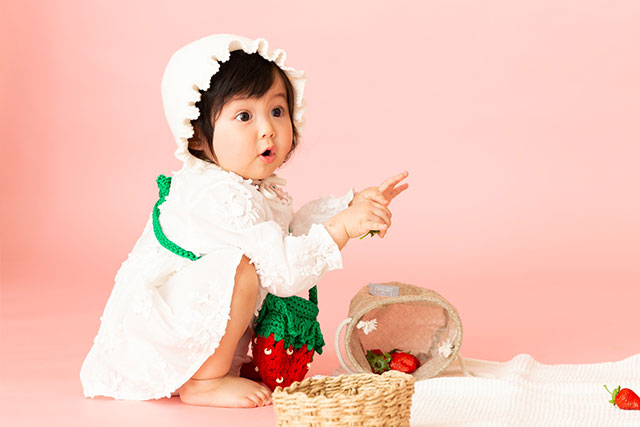 フルーツコレクション STRAWBERRY