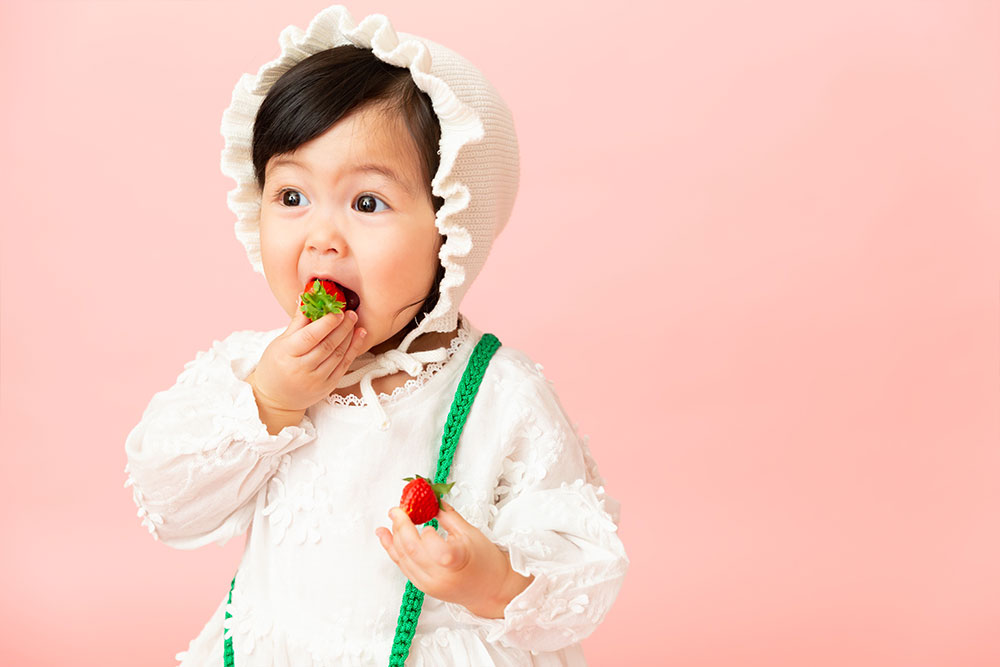 フルーツコレクション STRAWBERRY(2)