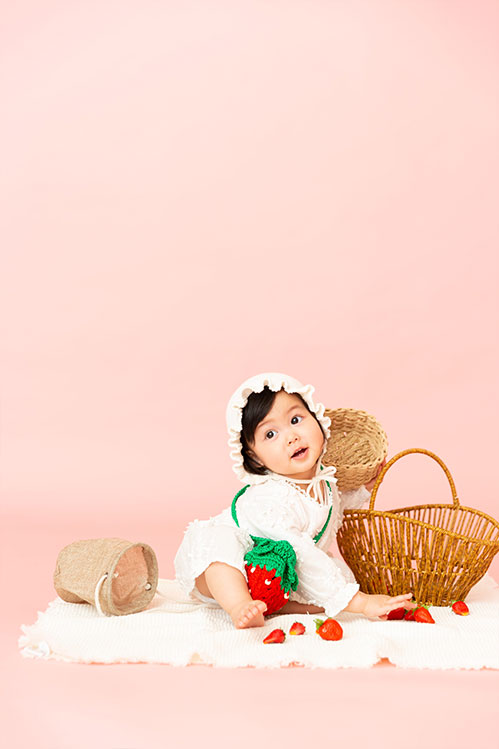 フルーツコレクション STRAWBERRY(3)