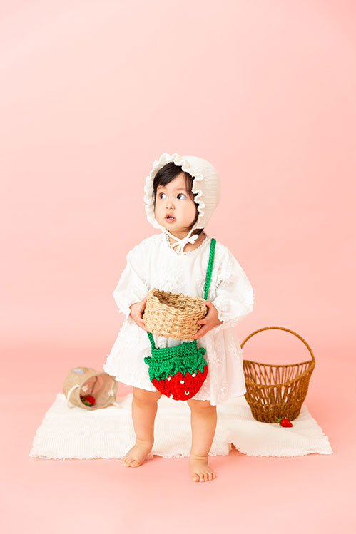 フルーツコレクション STRAWBERRY(4)
