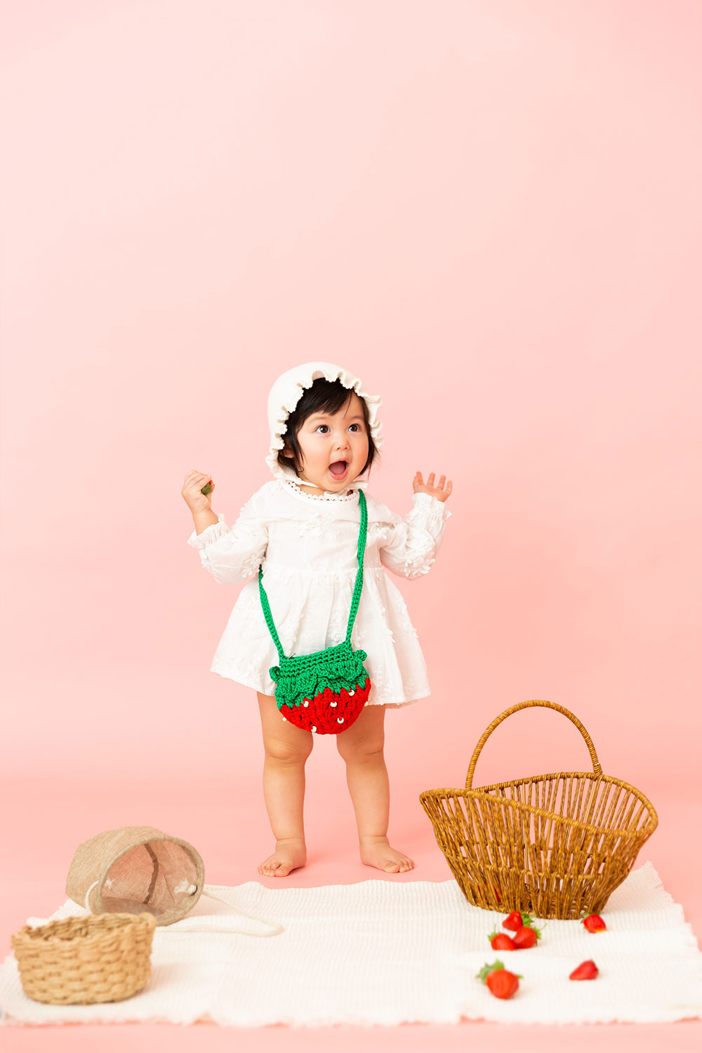 フルーツコレクション STRAWBERRY(5)