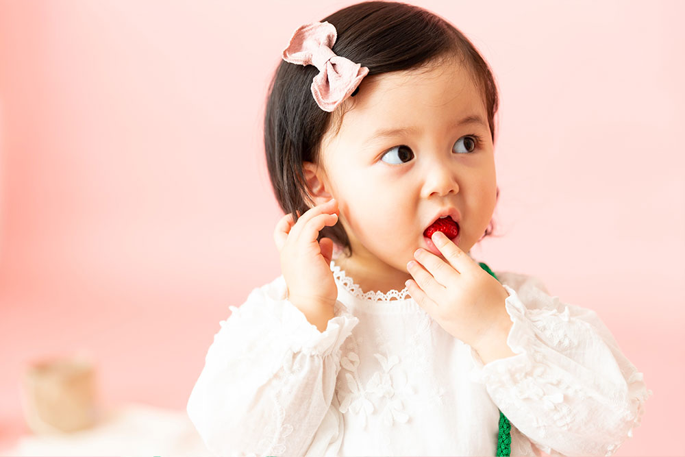 フルーツコレクション STRAWBERRY(8)