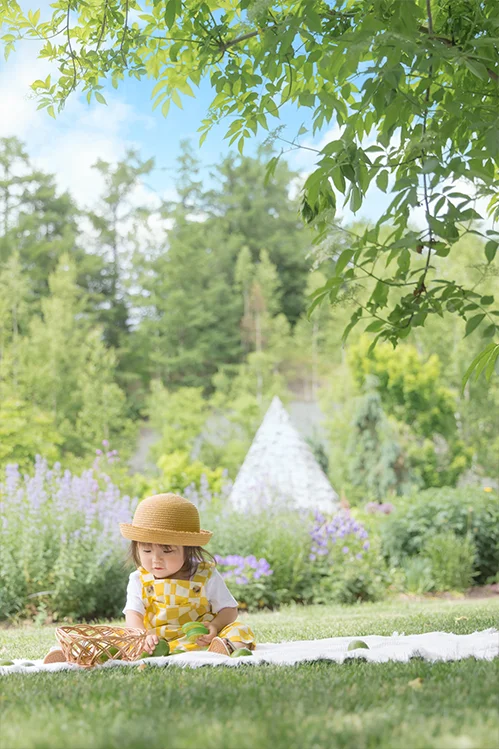 Little Wandere(4)