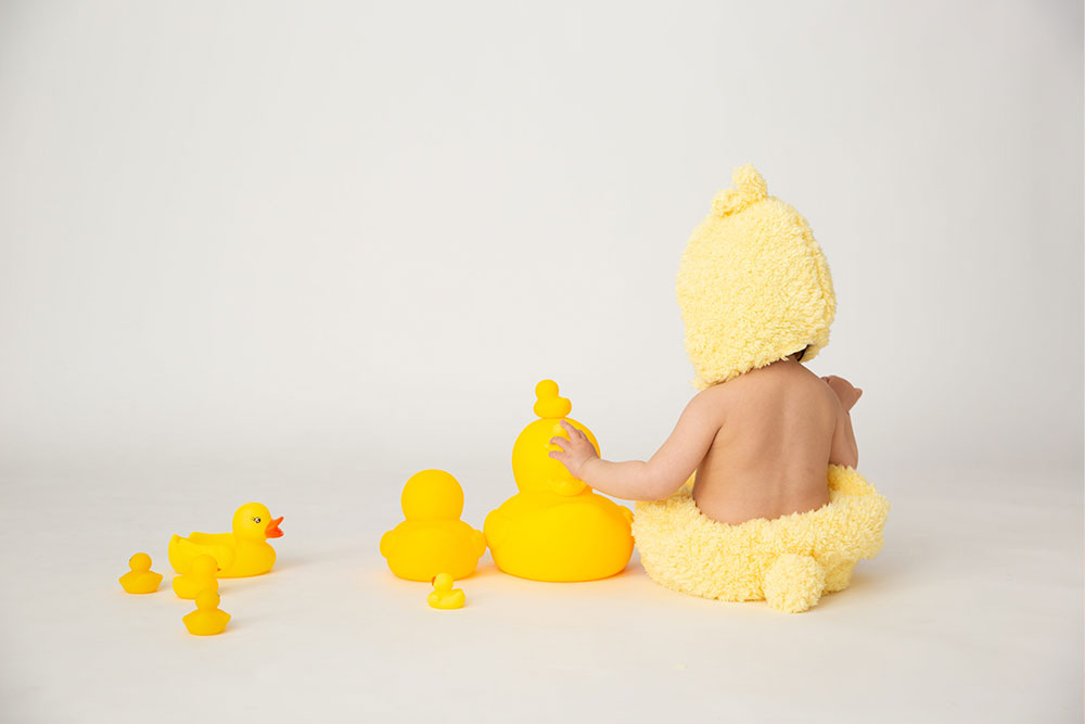 おもちゃコレクション ひよこ(8)