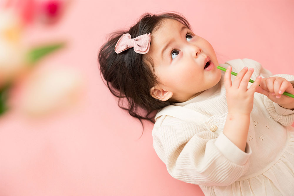 お仕事コレクション お花屋さん(2)
