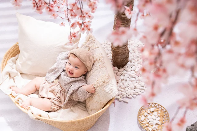 和桜×ベビー