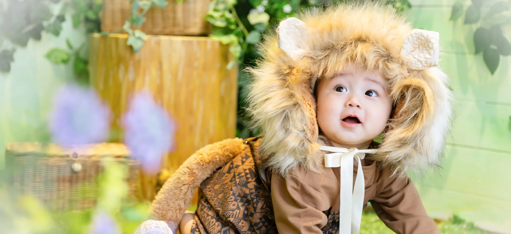 ベビーライオン(1)