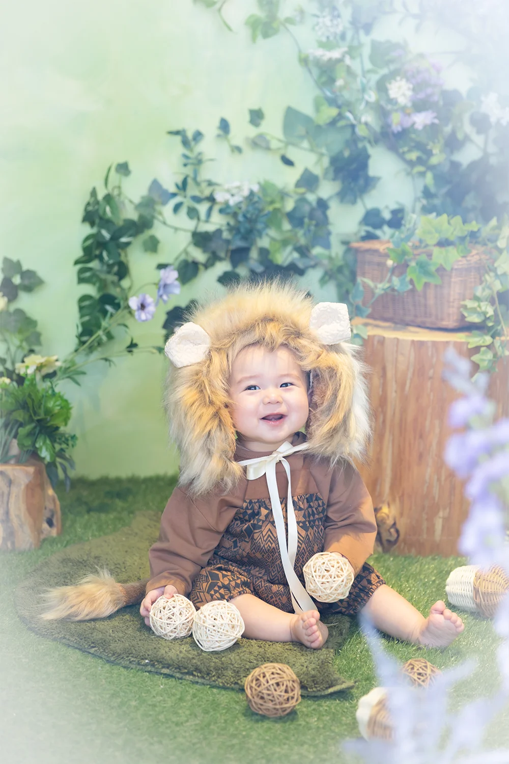 ベビーライオン(5)