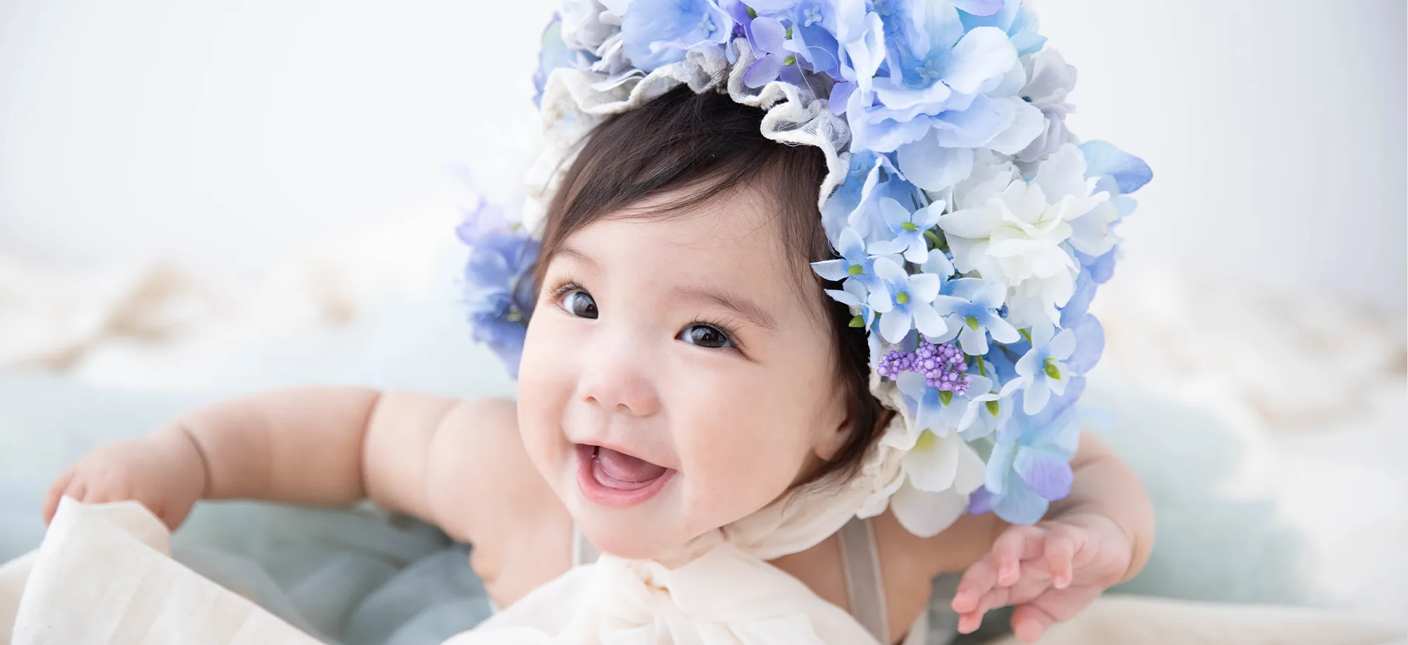 フラワーポット(アジサイ)