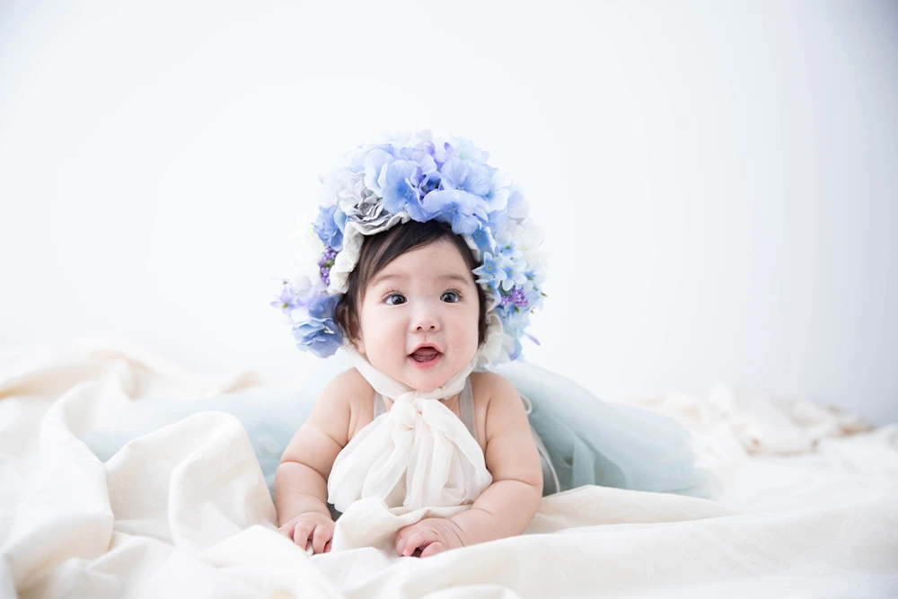 フラワーポット(アジサイ)(2)