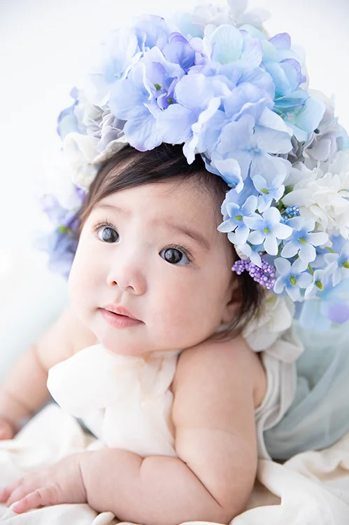 フラワーポット(アジサイ)(3)