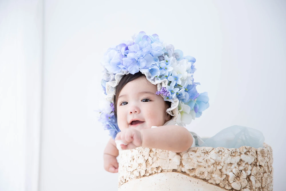 フラワーポット(アジサイ)(5)