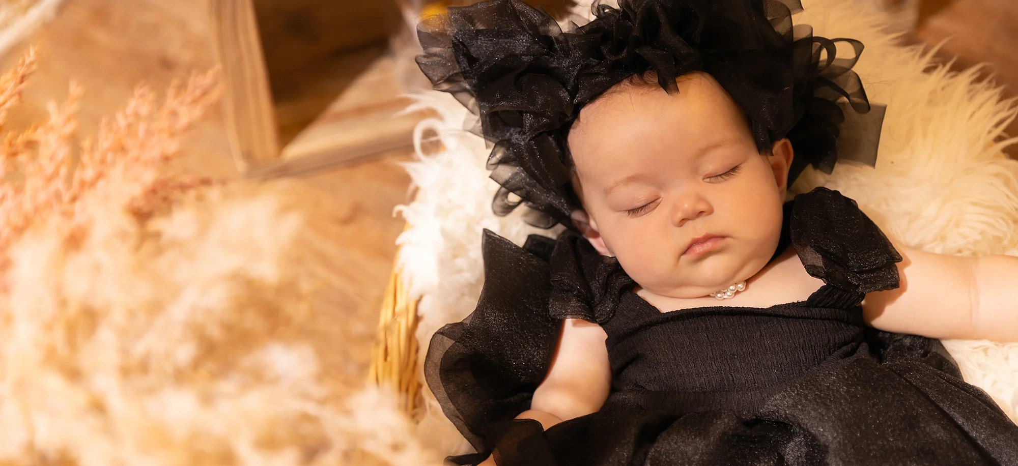 レース猫ちゃん(1)