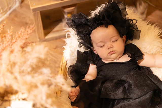 レース猫ちゃん(1)