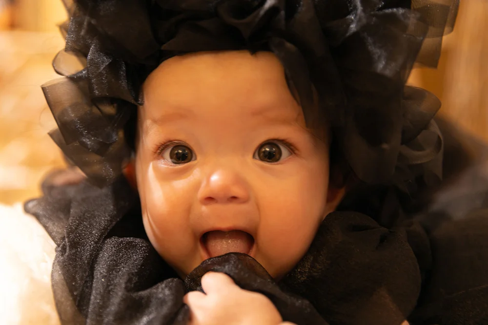 レース猫ちゃん(2)