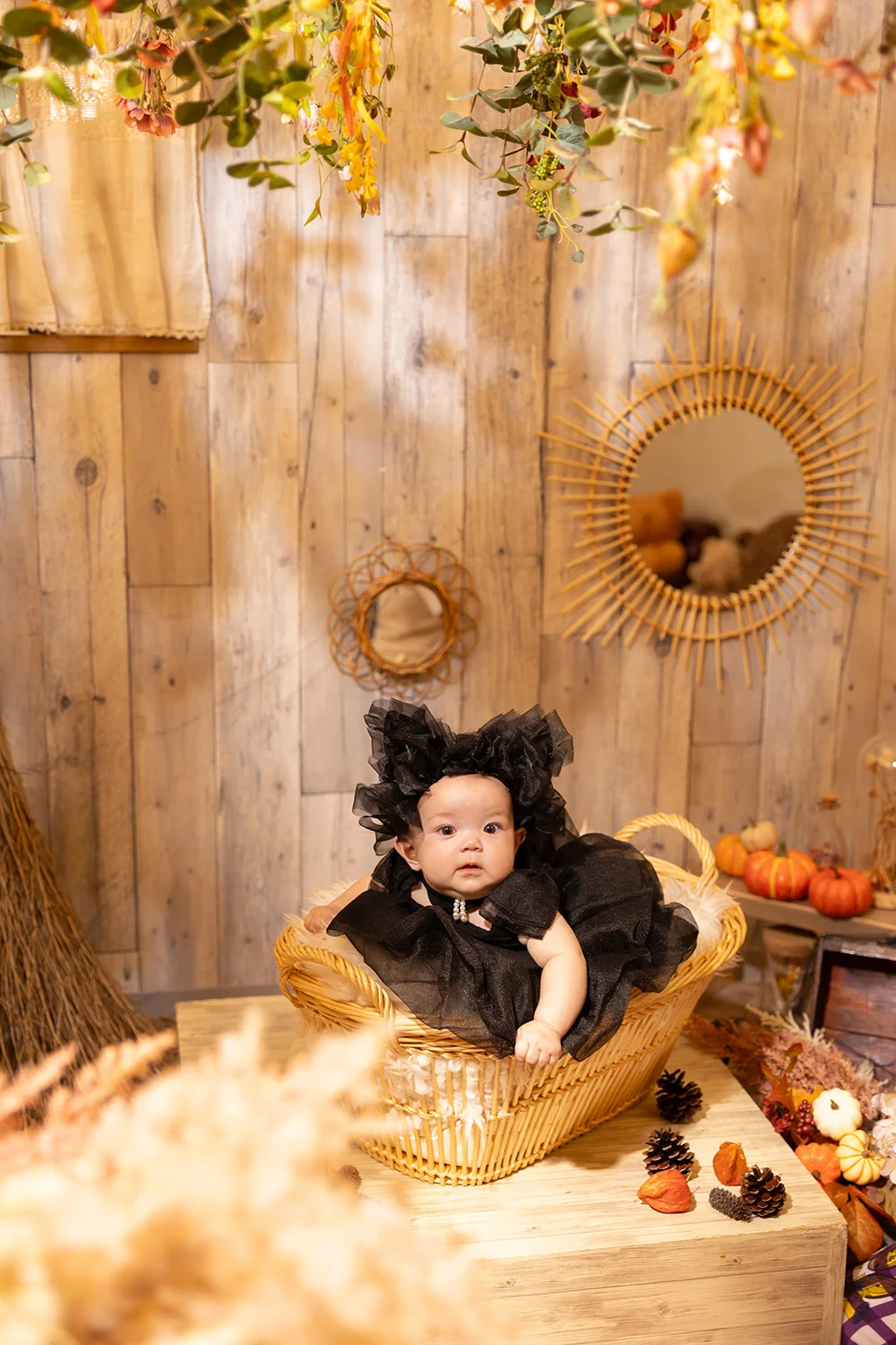 レース猫ちゃん(5)