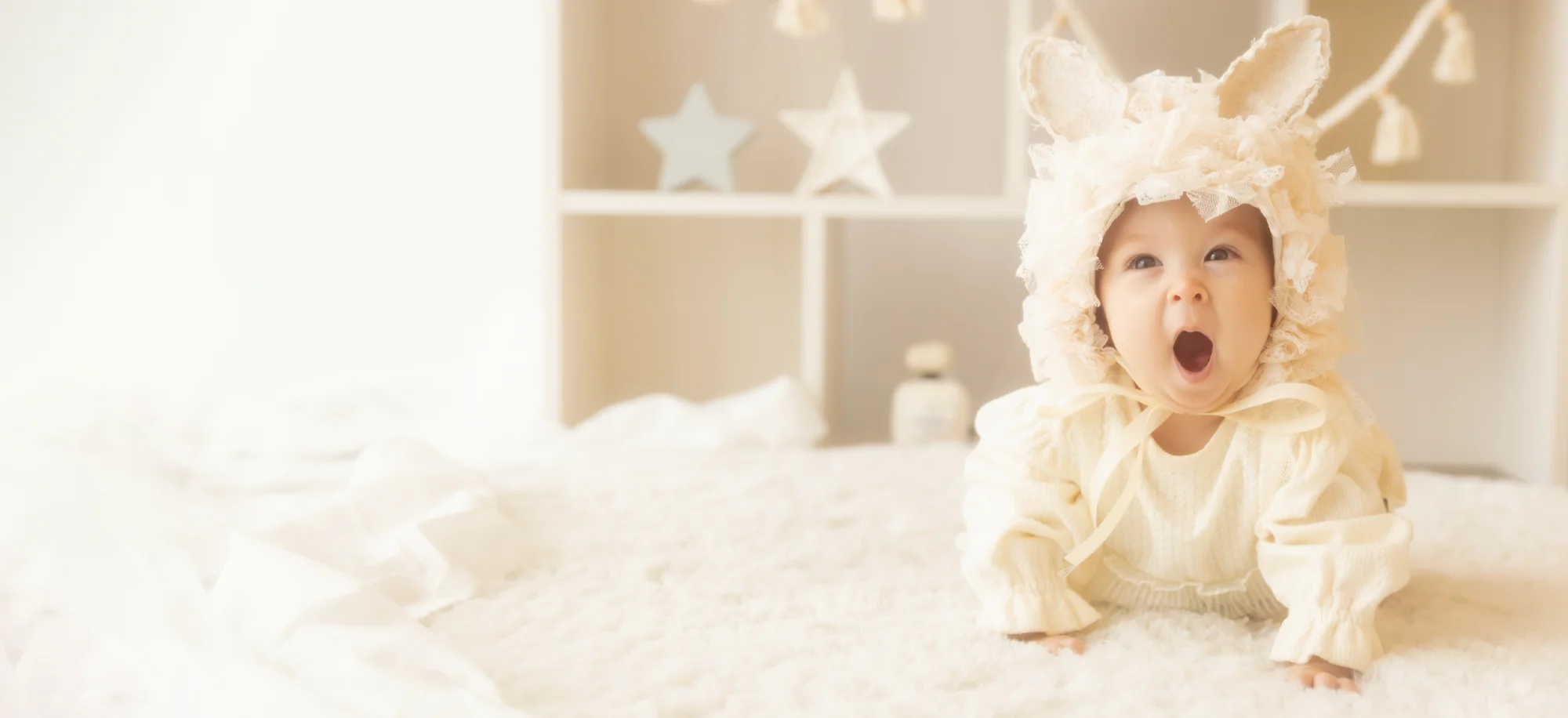 レースうさちゃん(1)