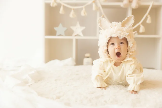 レースうさちゃん