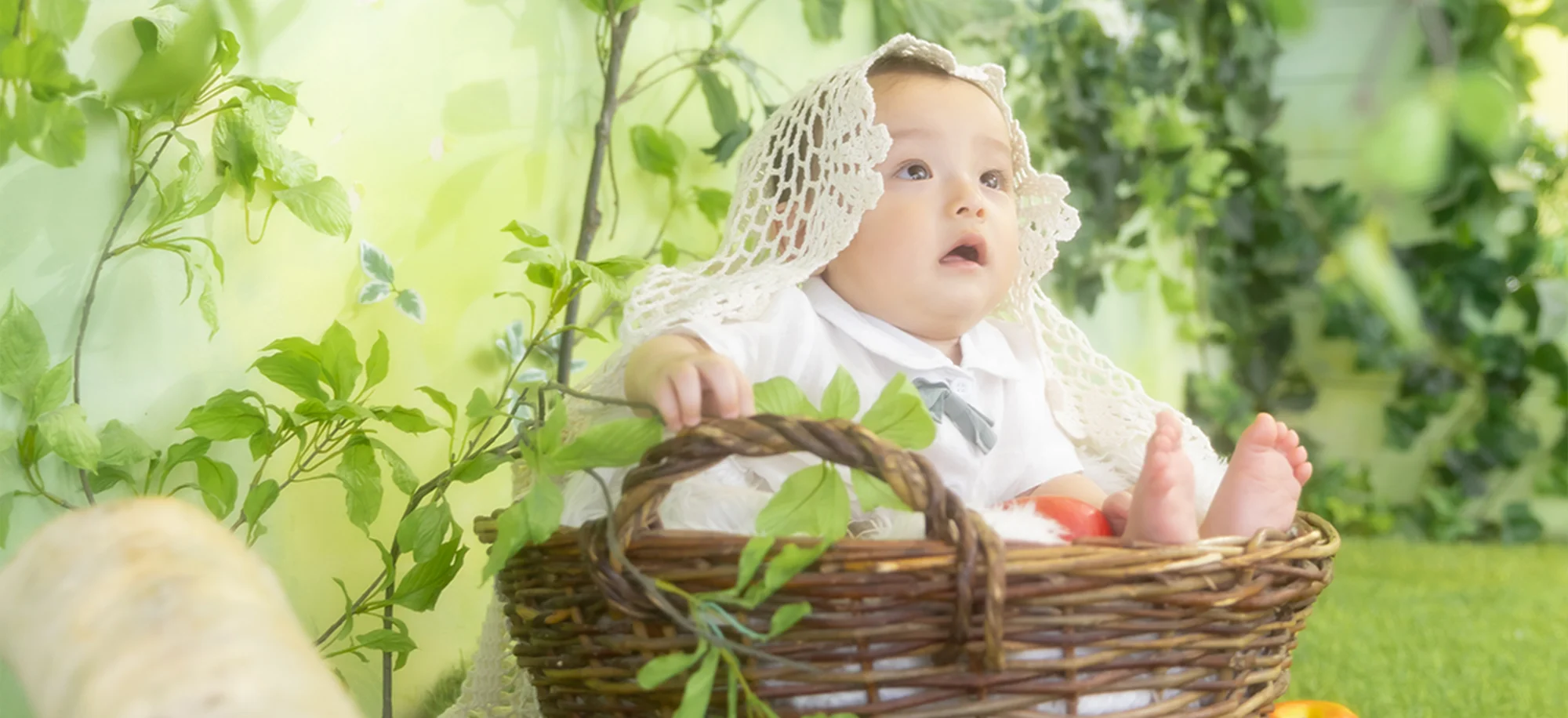 まんまるボールフルーツ（りんご）(1)