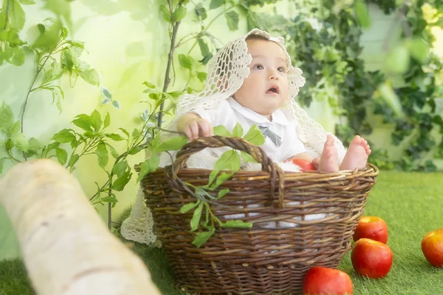 まんまるボールフルーツ（りんご）