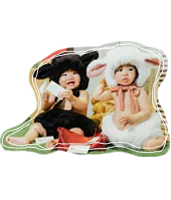 森の郵便屋さん(1)