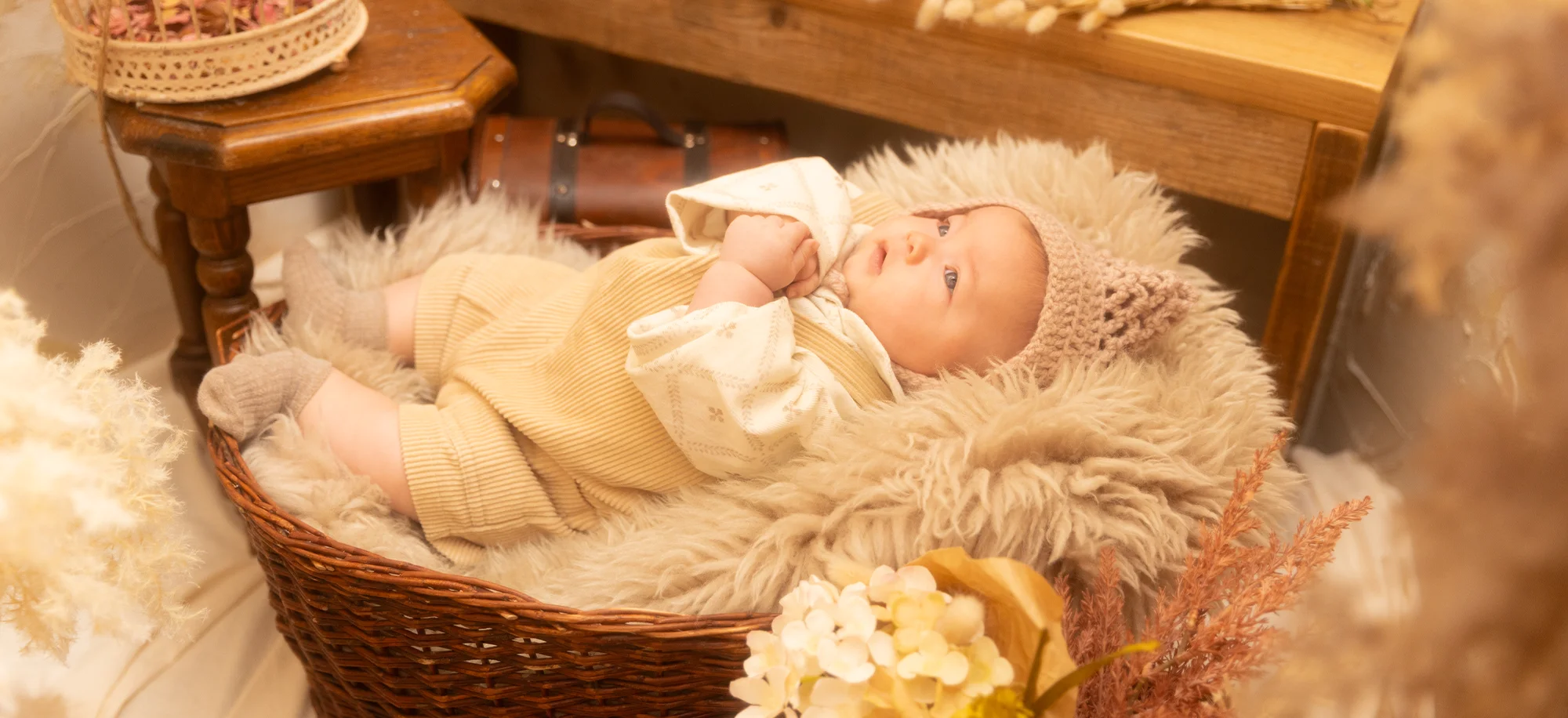 Vintage×Tradition(1)